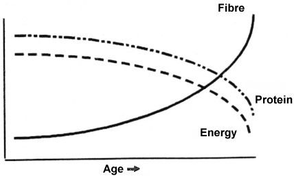 Feeding mature low-protein forages requires supplementation with oats or barley grain as an energy source to keep the mares in 