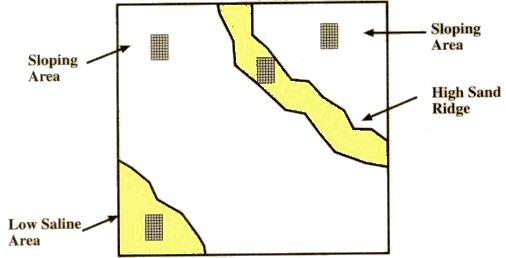 Benchmark Soil Sampling