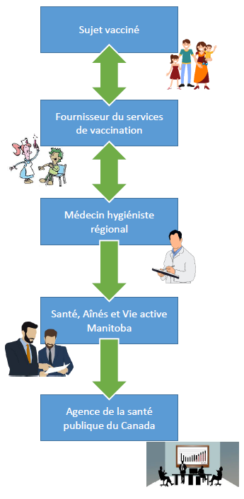 Le processus de déclaration