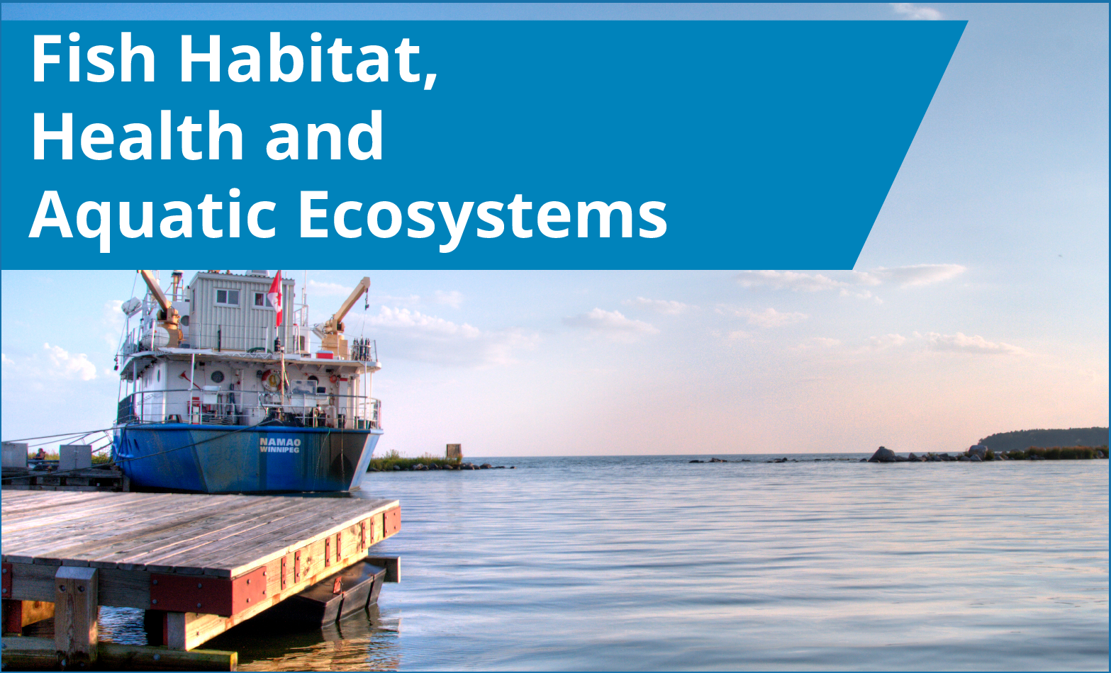 Fish Habitat, Health and Aquatic Ecosystems