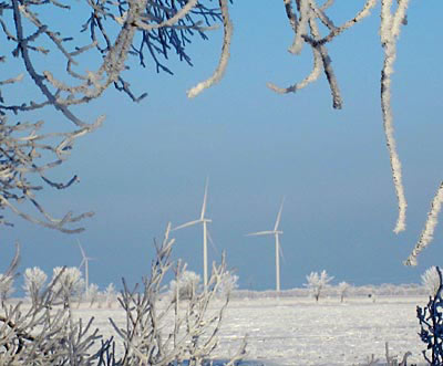 Wind turbines at St. Joseph wind farm